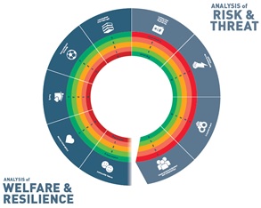 Analysis of risk and threat